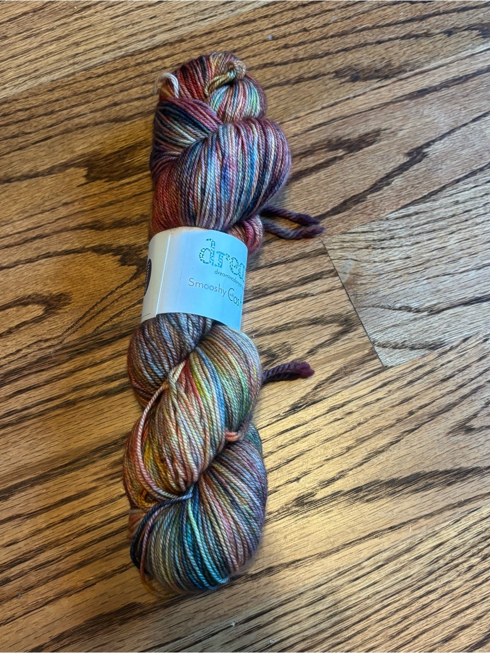 Dream in Color Smooshy Cashmere Yarn Multicolor Fall Sock Fingering Knitting NEW